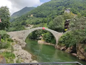 Timisvat Bridge