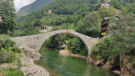 Timisvat Bridge