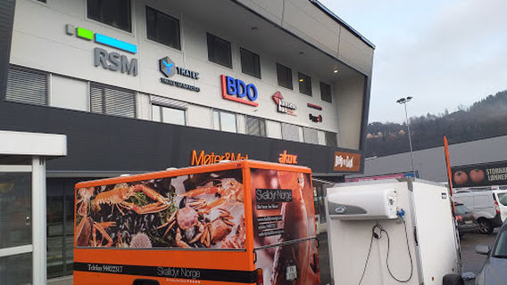 Brun og Blid Lyngdal