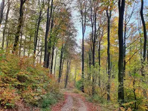 Kincs-pihenő