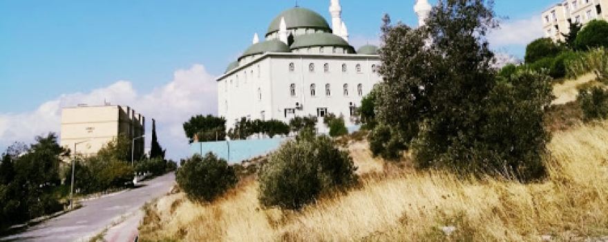 Leventevler Cami