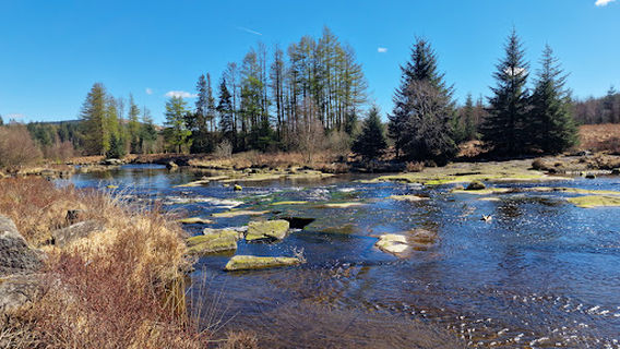 Raiders Road Otter Pools