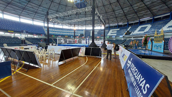 Modelo "Alberto Spencer Herrera" Stadium