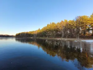 Lednik