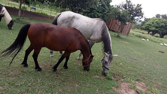 Siyavaya Adventures Quad biking