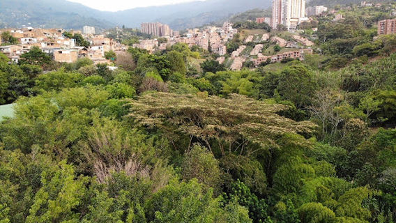 Parque La Heliodora