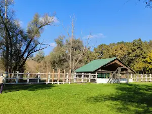 Bison Reserve