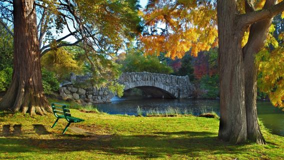 Beacon Hill Park