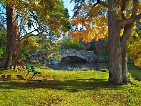 Beacon Hill Park