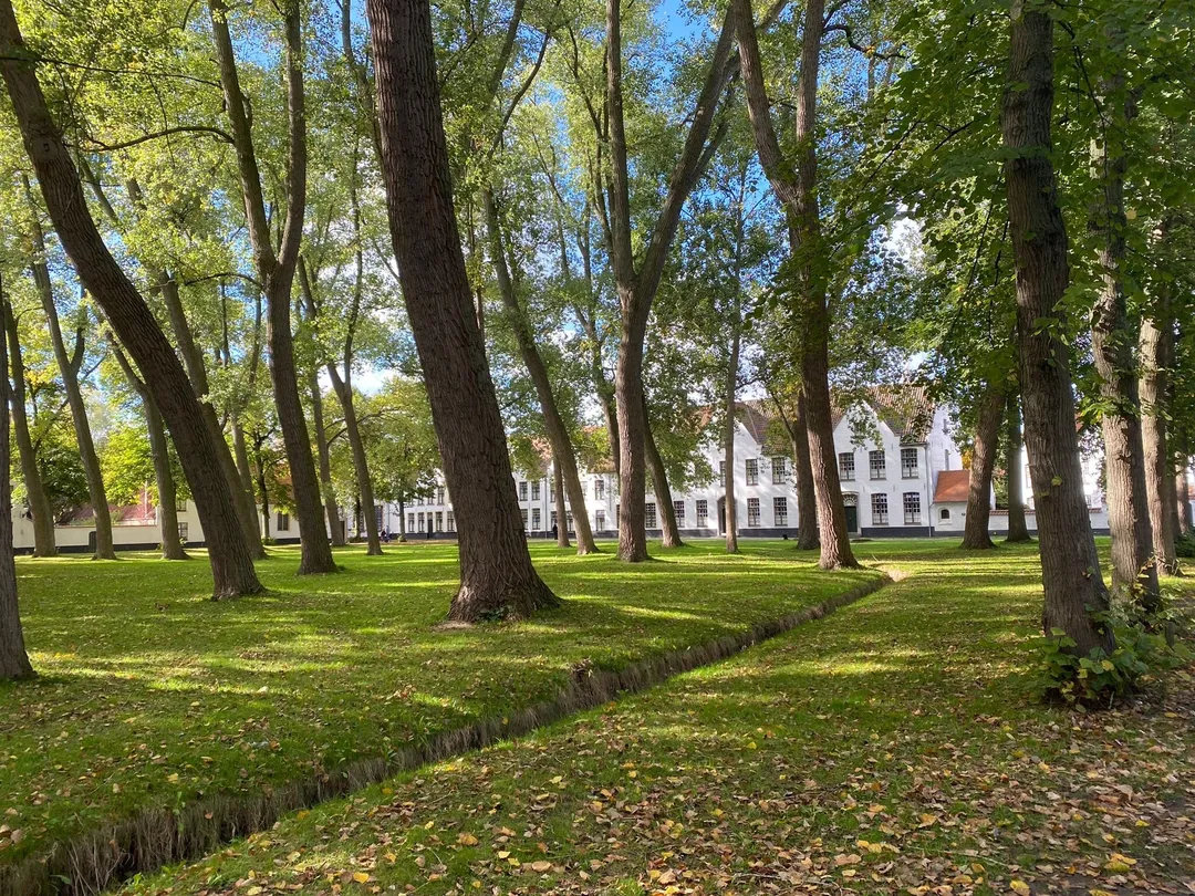 3_Beguinage "Ten Wijngaerde"