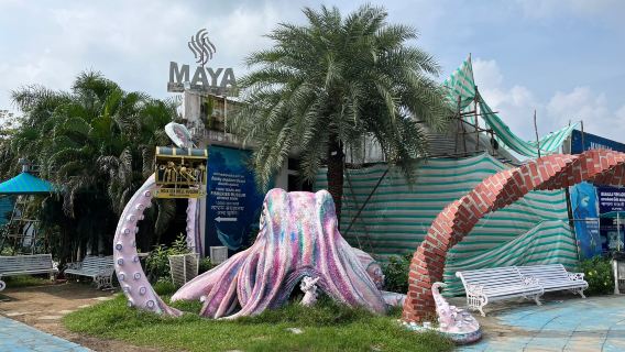 India Seashell Museum