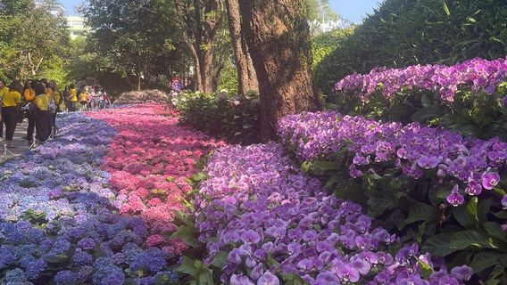 75 Anniversary Flag and Lamp Park