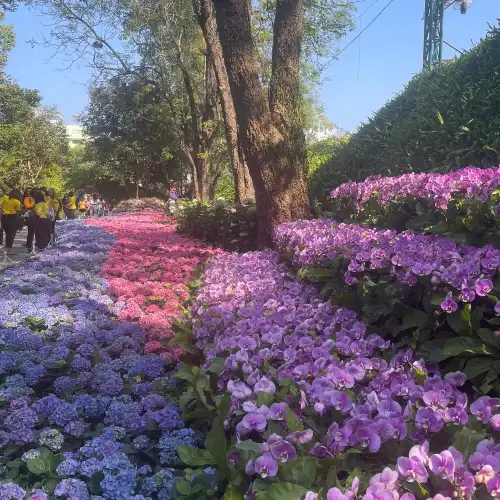 สวนตุงและโคมเฉลิมพระเกียรติ 75 พรรษา