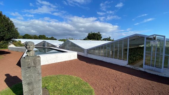 Pineapple Plantation A Arruda