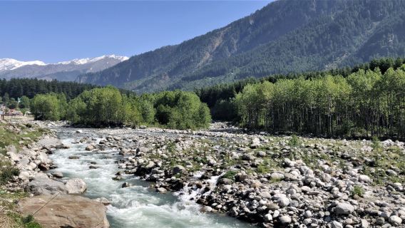 Beas River