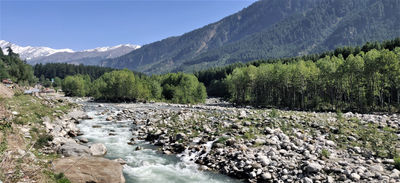 Beas River