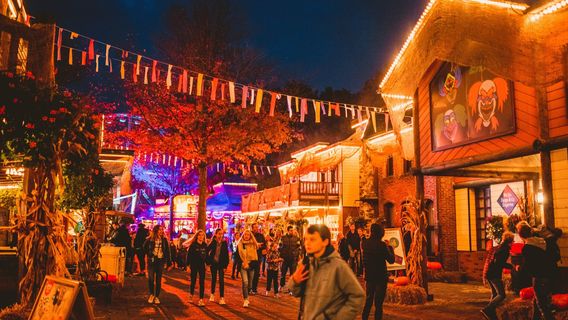 Боббеянланд