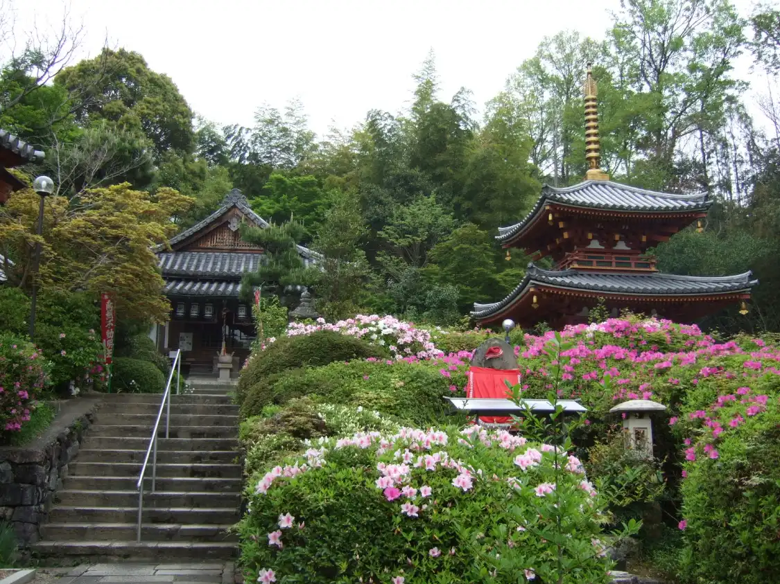 Hotel in zona Mt. Miwa