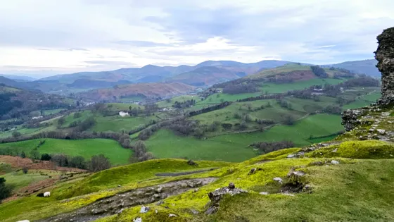 Castell Dinas Bran