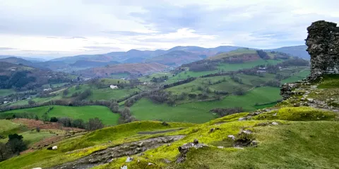 Castell Dinas Bran