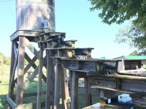 Trunnell's Market & Farm Experience