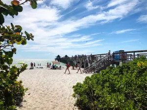 Lowdermilk Park