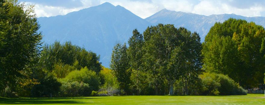 Carson Valley Golf Course