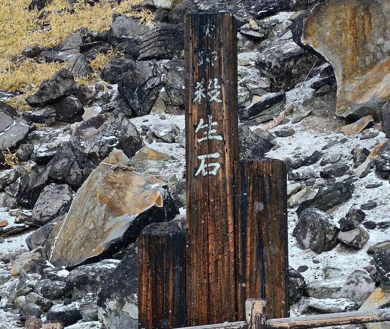 Hotels near Killing Stone / Sessho-Seki