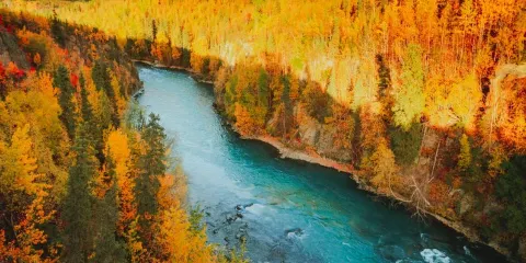 Kenai River