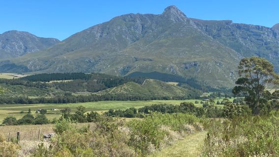 Swellendam Golf Club