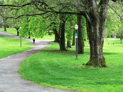 Wright Park