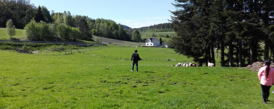 Hurum