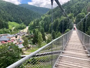 Steinwasen Park