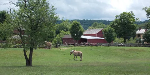 Howell Living History Farm