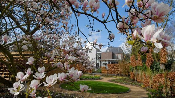 Vincent van Gogh Huis