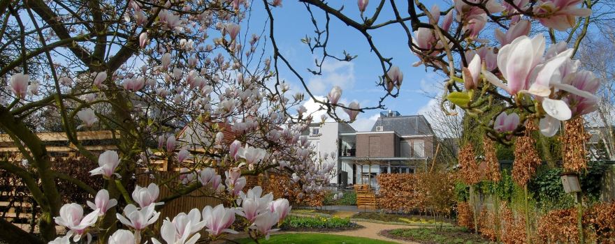Vincent van Gogh Huis