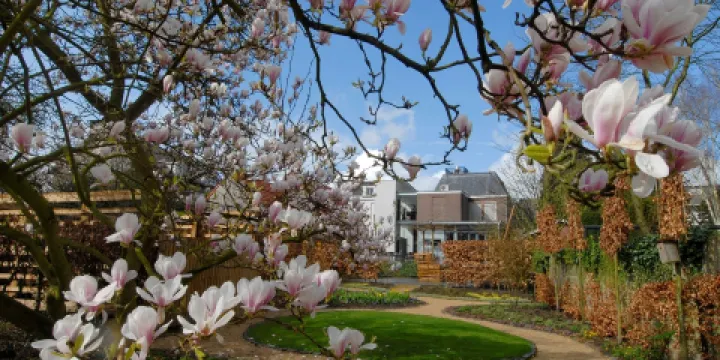 Vincent van Gogh Huis