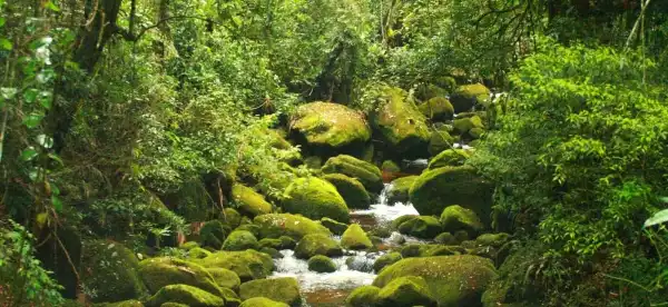 Hotels in Teresopolis
