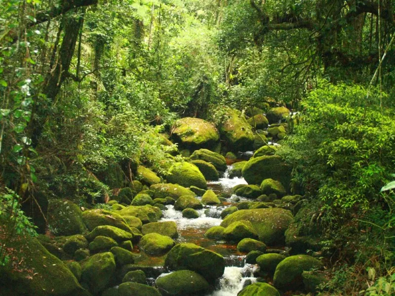 Teresopolis