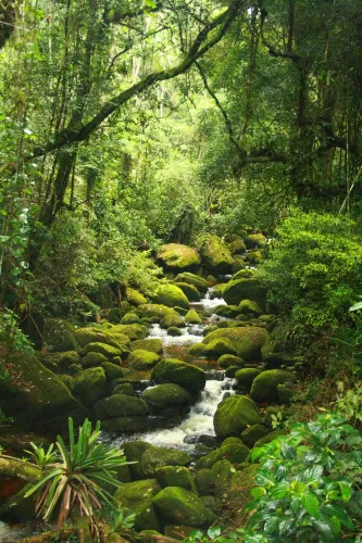 Teresópolis