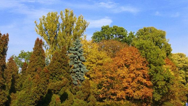 Skaryszewski Park in the name of Ignacy Jan Paderewski