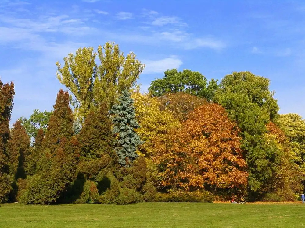 Hotel in zona Park Skaryszewski im. Ignacego Jana Paderewskiego