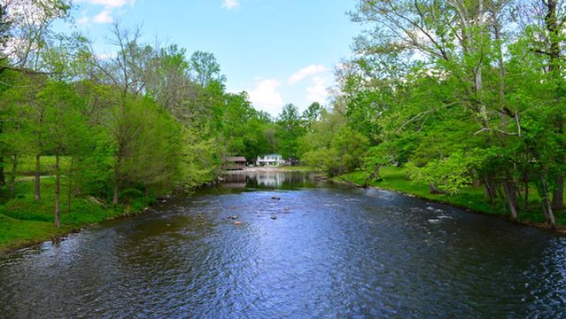 Swinging Bridge