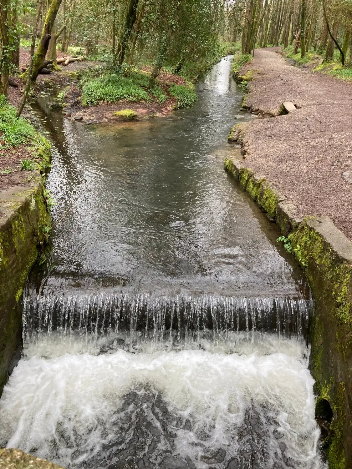 Hotels near Tehidy Country Park