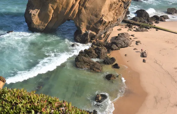 托里什韋德拉什