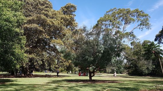 St Kilda