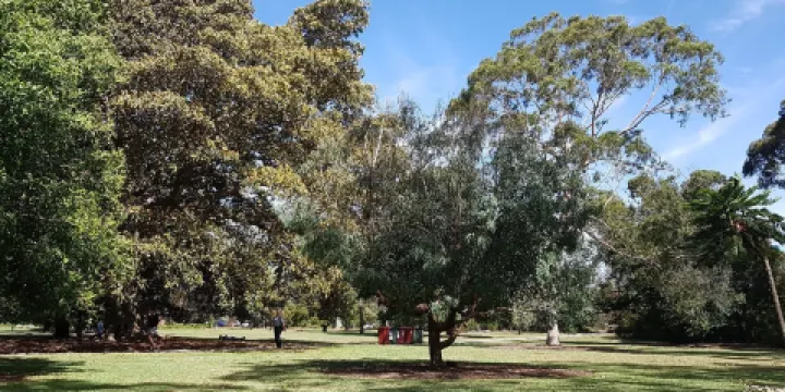聖基爾達植物園