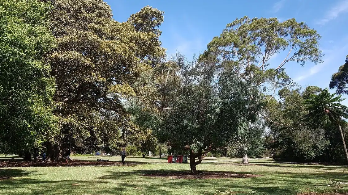 Hotels near St Kilda Botanical Gardens