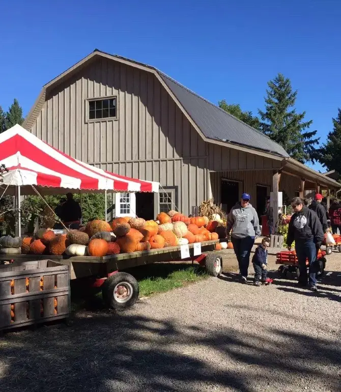 Guelph/Eramosa