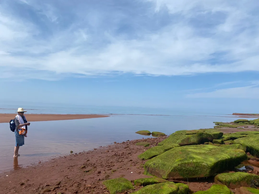 5_Argyle Shore Provincial Park